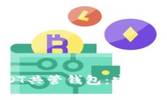 全面解析USDT共管钱包：安全性与使用