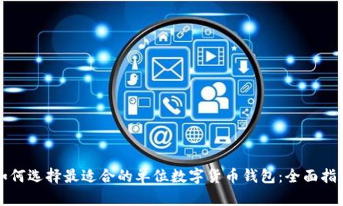 如何选择最适合的单位数字货币钱包：全面指南
