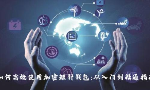 如何高效使用加密短针钱包：从入门到精通指南