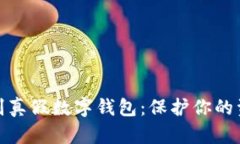 如何识别真假数字钱包：保护你的资产