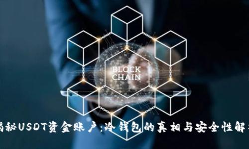 揭秘USDT资金账户:冷钱包的真相与安全性解析