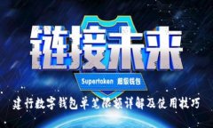 建行数字钱包单笔限额详解及使用技巧