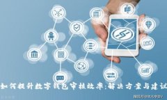 如何提升数字钱包审核效率：解决方案