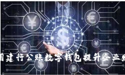 如何有效利用建行公账数字钱包提升企业财务管理效率