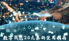 数字钱包20元券的使用指南
