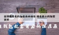 区块链钱包乱象背后的深层原因分析