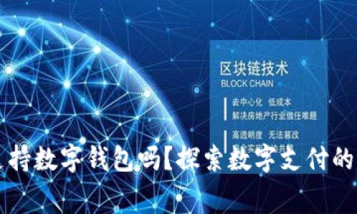 高速收费支持数字钱包吗？探索数字支付的便捷与安全