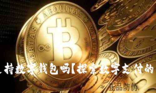高速收费支持数字钱包吗？探索数字支付的便捷与安全