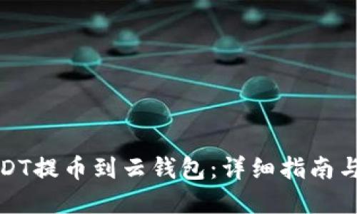 如何将USDT提币到云钱包：详细指南与实用技巧