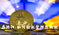 数字钱包在沈阳：如何轻松管理您的财