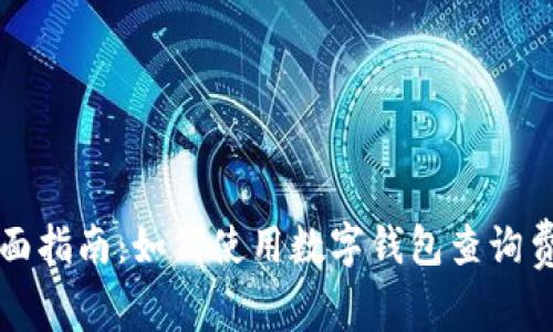 全面指南:如何使用数字钱包查询费用