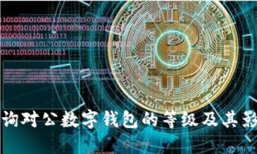 如何查询对公数字钱包的等级及其影响因素