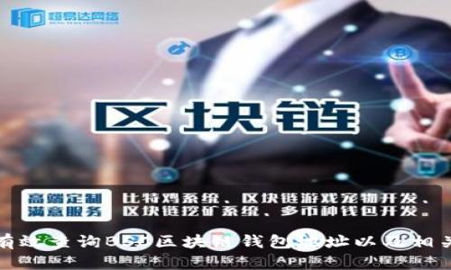 如何有效查询BSC区块链钱包地址以及相关信息