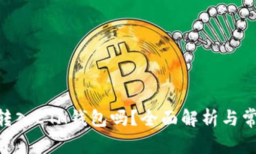 USDT可以转入ETH钱包吗?全面解析与常见问题解答