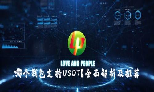 哪个钱包支持USDT?全面解析及推荐