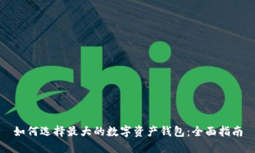 如何选择最大的数字资产钱包：全面指南