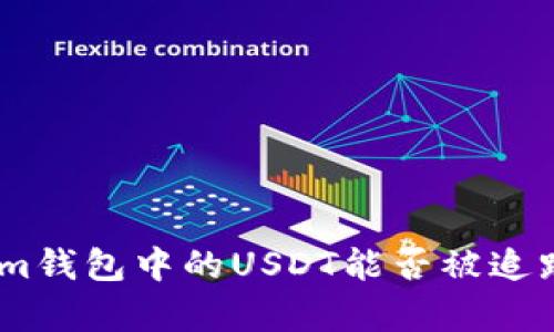 探讨Token.im钱包中的USDT能否被追踪的深度分析