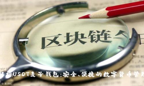 全面解析USDT麦子钱包：安全、便捷的数字货币管理工具