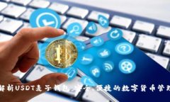 全面解析USDT麦子钱包：安全、便捷的