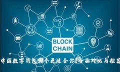 中国数字钱包哪个更适合你？全面对比