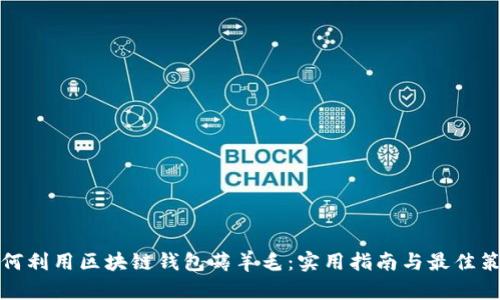 如何利用区块链钱包薅羊毛：实用指南与最佳策略