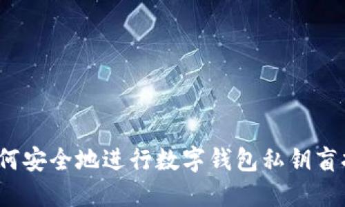 如何安全地进行数字钱包私钥盲扫?