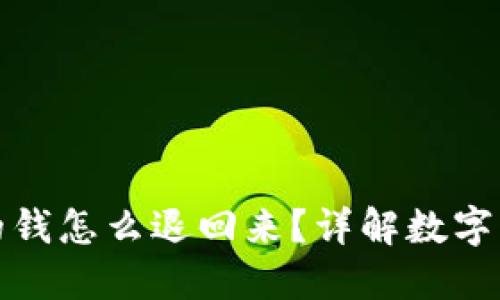 数字钱包里的钱怎么退回来?详解数字钱包退款流程