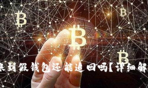 USDT转账到假钱包还能追回吗？详细解析及对策