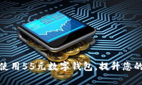 如何有效使用55元数字钱包,提升您的支付体验
