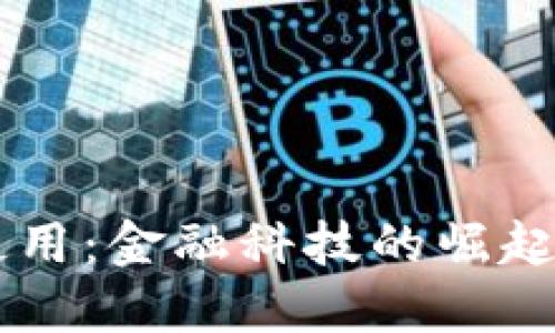 未来数字钱包的使用：金融科技的崛起与生活方式的变革