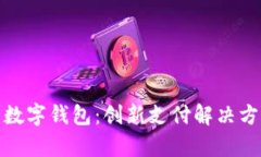 全面解析滴滴数字钱包：创新支付解决