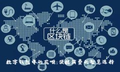 数字钱包中的花呗：便捷消费的智慧选