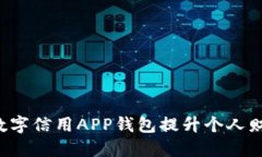  如何利用数字信用APP钱包提升个人财