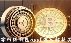 为何选择数字网络钱包app？深入解析其
