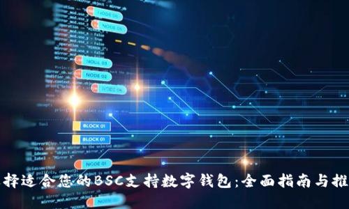 选择适合您的BSC支持数字钱包：全面指南与推荐