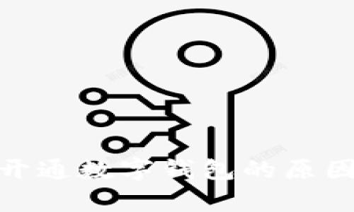 揭秘没有开通数字钱包的原因及其影响