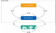 如何选择和使用CP数字国际钱包：全面