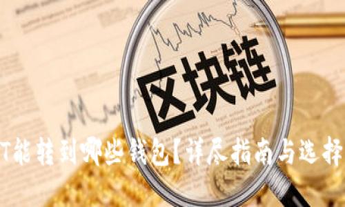 USDT能转到哪些钱包？详尽指南与选择建议