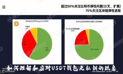 如何理解和应对USDT钱包无私钥的现象