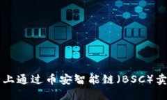 如何在TP钱包上通过币安智能链（BSC）